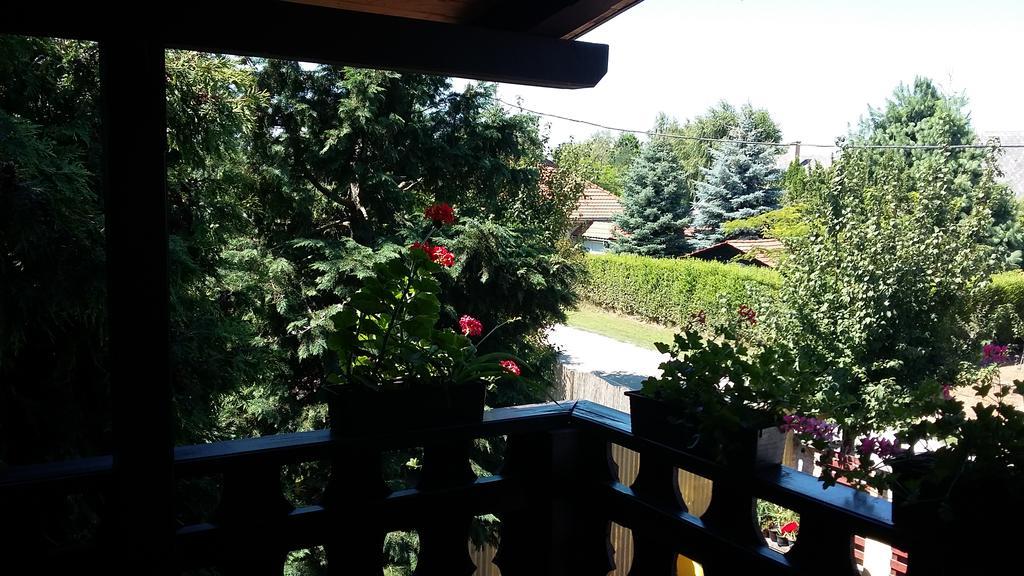 Emi Vendeghaz Hotel Balatonszárszó Buitenkant foto